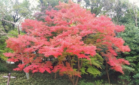 2015-11-282014.15.31.jpg