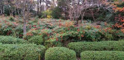 2015-11-282014.45.53.jpg