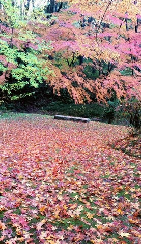 2015-11-282015.10.52.jpg
